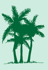 palm tree Tropical palm trees, black silhouettes