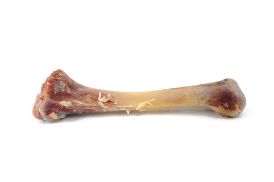Chicken leg bones
