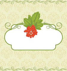 Decorative frame with red berries bunch.Ornamental background