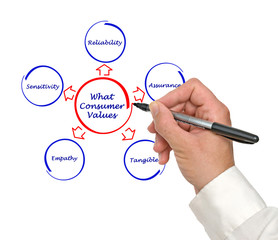 What consumer values