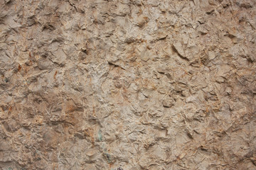 Surface of the gray-brown stone