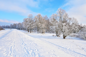 Fototapeta na wymiar Snowy landscape in the Narew river valley. Beautiful winter trai