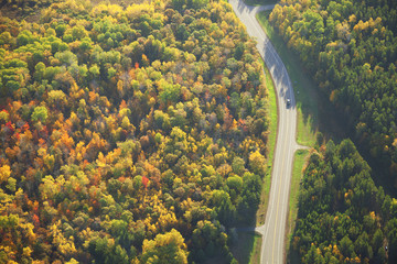 Aerial view of road curving through woods in fall color - obrazy, fototapety, plakaty