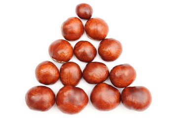 Closeup of chestnut on white background