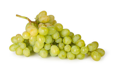 Branch of green grapes