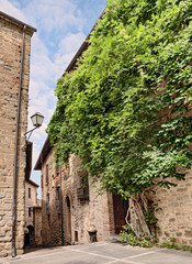 Fototapeta premium stara aleja w Umbrii we Włoszech