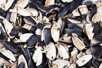 husks of roasted sunflower seeds
