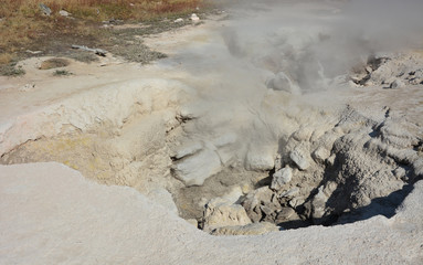 Yellowstone geyser