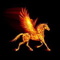 Obraz na płótnie Canvas Fire Pegasus.