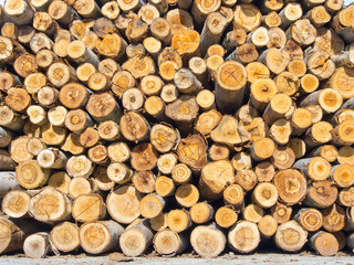 section of log woods