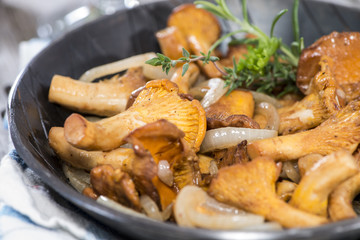 Fried Chanterelles