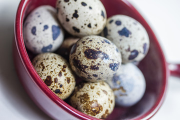 quail eggs