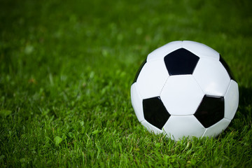 Fototapeta premium soccer ball on the grass