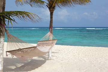 Idyllic beach with coconut trees and hammock at Mexico