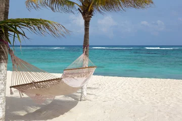 Gordijnen Idyllic beach with coconut trees and hammock at Mexico © cristovao31