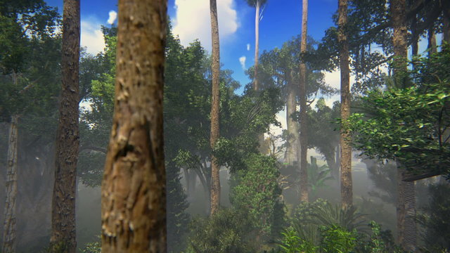 Flying between the trees in a rainforest