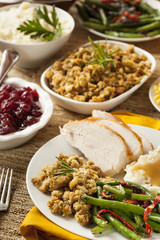 Homemade Sliced Turkey Breast