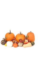 Fall Autumn Thanksgiving pumpkins and squash arrangement with ba