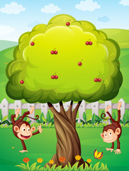 Obraz na płótnie Canvas Two monkeys playing at the yard