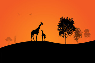 Silhouette of giraffe over beautiful sunset