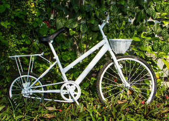 Fototapeta na wymiar White bicycle