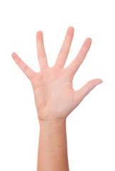 Female hand palm isolated