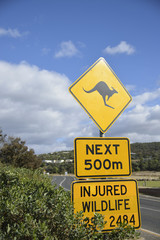 Kangaroo sign in Australia