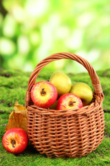 Small apples in wicker basket on nature background