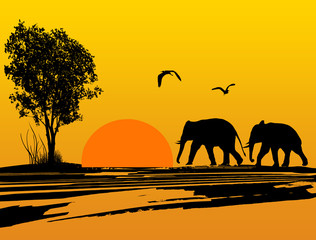 Elephants silhouette in Africa