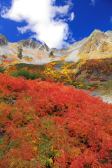 涸沢カールの紅葉