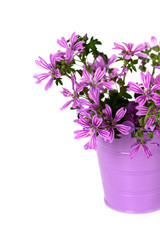 Naklejka na ściany i meble dzikie fioletowe kwiaty w wiadrze
