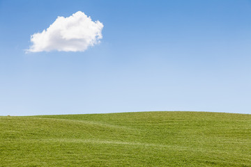 Green field in Tuscany