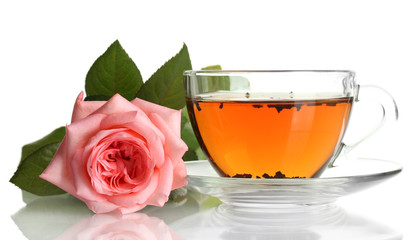 cup of tea with rose isolated on white