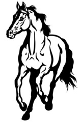 Obraz na płótnie Canvas running horse black white