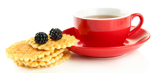 Cup of tea with cookies and blackberry isolated on white