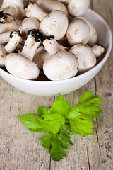 fresh champignons with parsley in a bowl