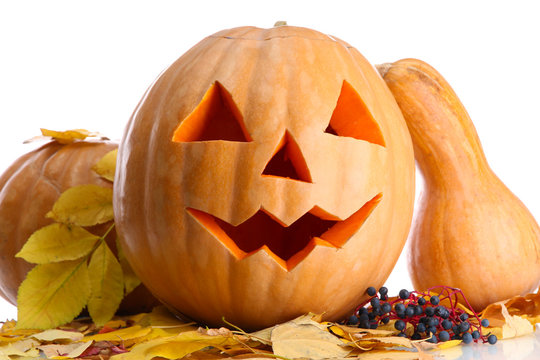 halloween pumpkins and autumn leaves, isolated on white