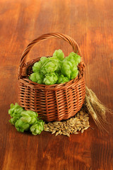 Fresh green hops in wicker basket and barley,