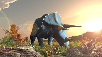 Dinosaur Triceratops