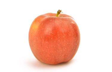 apple isolated