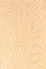 Birch plywood texture