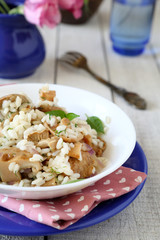 mushroom risotto with fungus slices