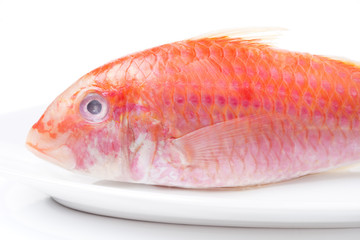 Fresh surmullet on a plate close-up