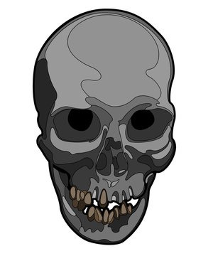 Vector Skull artwork