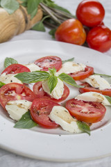 Closeup of Caprese Salad