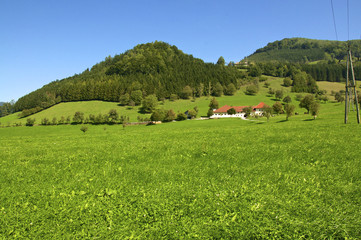 Landschaft mit Bauernhof im Ennstal in Gro&szlig;raming