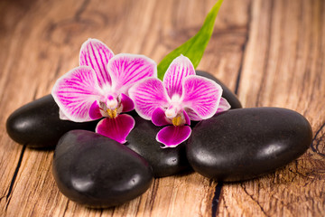 Fototapeta na wymiar Stones and orchid on wooden background
