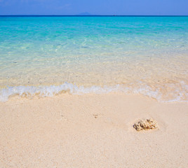 Tropical beach in the south of Thailand
