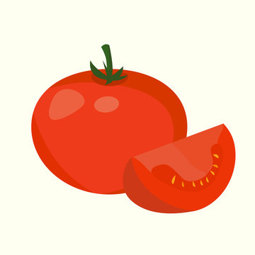 Realistic tomato illustration. Eps 10 Vector.