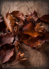 Autumn Leaves over wooden background